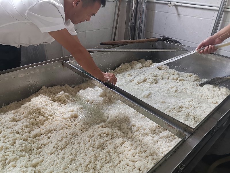 4蒸煮完成，開始淋飯2