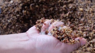 用小型燒酒設(shè)備蒸酒時(shí)，酒醅含水量也會(huì)影響白酒口感和出酒率？