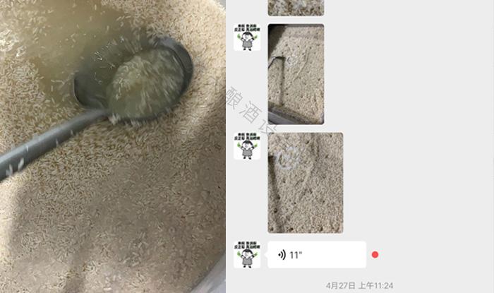 受疫情影響不讓養(yǎng)蛇，用電加熱釀酒設(shè)備做酒迎來新未來！ 3