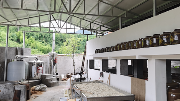 受疫情影響工作不好找，在家開個(gè)酒廠利潤大嗎？