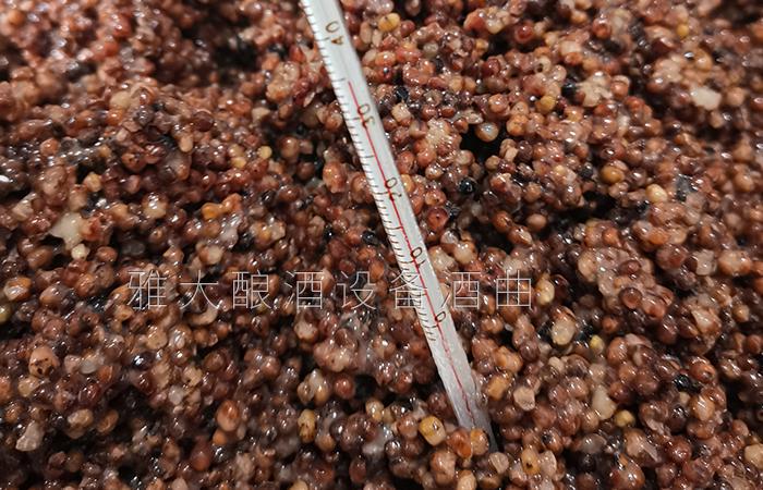 25℃-28℃活性更強(qiáng)、出酒率更高