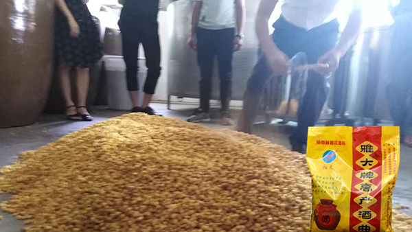 40年老師傅用糧食釀酒設(shè)備做酒有訣竅，蒸餾蒸糧一步到位！