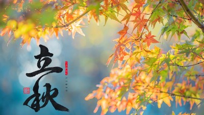 立秋 | 盛夏暑氣遠，酒中秋色濃