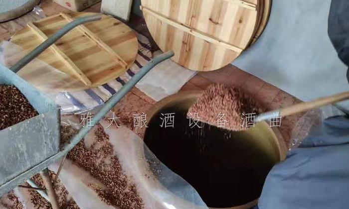 用電加熱釀酒設(shè)備做固態(tài)酒，怎樣做好場地衛(wèi)生？5