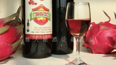 雅大釀酒設(shè)備廠家，果酒研發(fā)一年四季不打烊