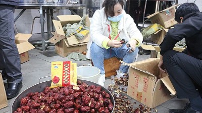 “五一”假期出游新風(fēng)向，自駕車(chē)來(lái)大型釀酒設(shè)備廠家實(shí)操釀紅棗酒