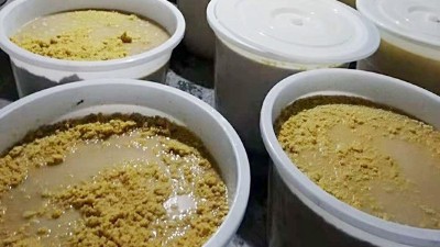 玉米熟料液態(tài)酒怎么做？小型酒廠釀酒設(shè)備玉米液態(tài)釀酒技術(shù)