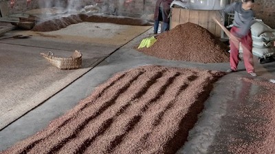 咱家不差錢，你又一把年紀(jì)了，何必堅(jiān)持用中型釀酒設(shè)備做酒？