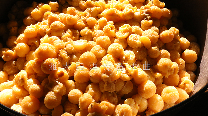 去皮皇帝柑釀酒技術(shù)-剝皮、加糖