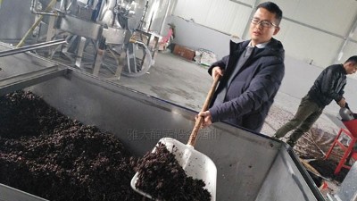 40噸拐棗爛在樹(shù)上賣不掉，用雅大蒸酒設(shè)備釀成酒，每瓶賣288元！