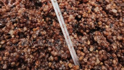 用燒酒設備在家開個酒坊，嚴把質量關才是核心！
