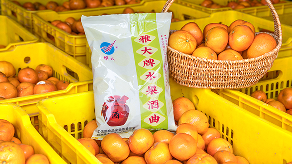 桔子滯銷怎么辦，試試用果酒釀酒設備將它們釀成酒吧！