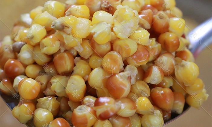 玉米蒸至開花率95%以上，外干內(nèi)軟