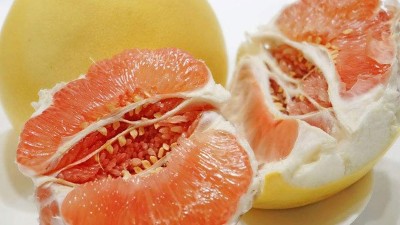 柚子酒怎么做？釀造柚子酒的全套釀酒設備價格貴不貴？