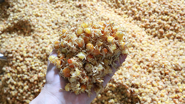 驚！夏季用白酒蒸餾設(shè)備做固態(tài)酒時(shí)加入輔料作用這么大！
