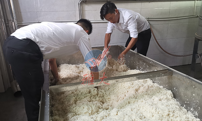 8-雅大黃酒釀酒實操