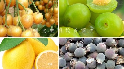 藏在果園里的果酒釀酒設(shè)備酒坊，生意卻依然火爆！