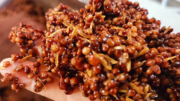 用釀酒蒸餾設(shè)備做固態(tài)高粱時，糖化不起來怎么辦？