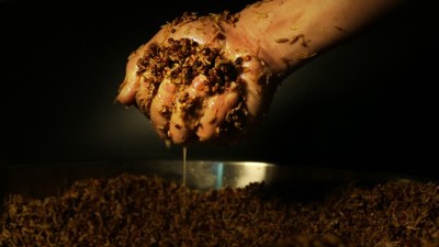 傳統(tǒng)老酒坊得不到傳承怎么辦？試試這款小型酒廠釀酒設(shè)備